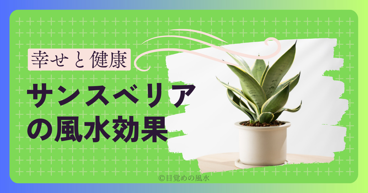 サンスベリアの風水で幸せと健康運ゲット！効果的な置き場所はどこ？